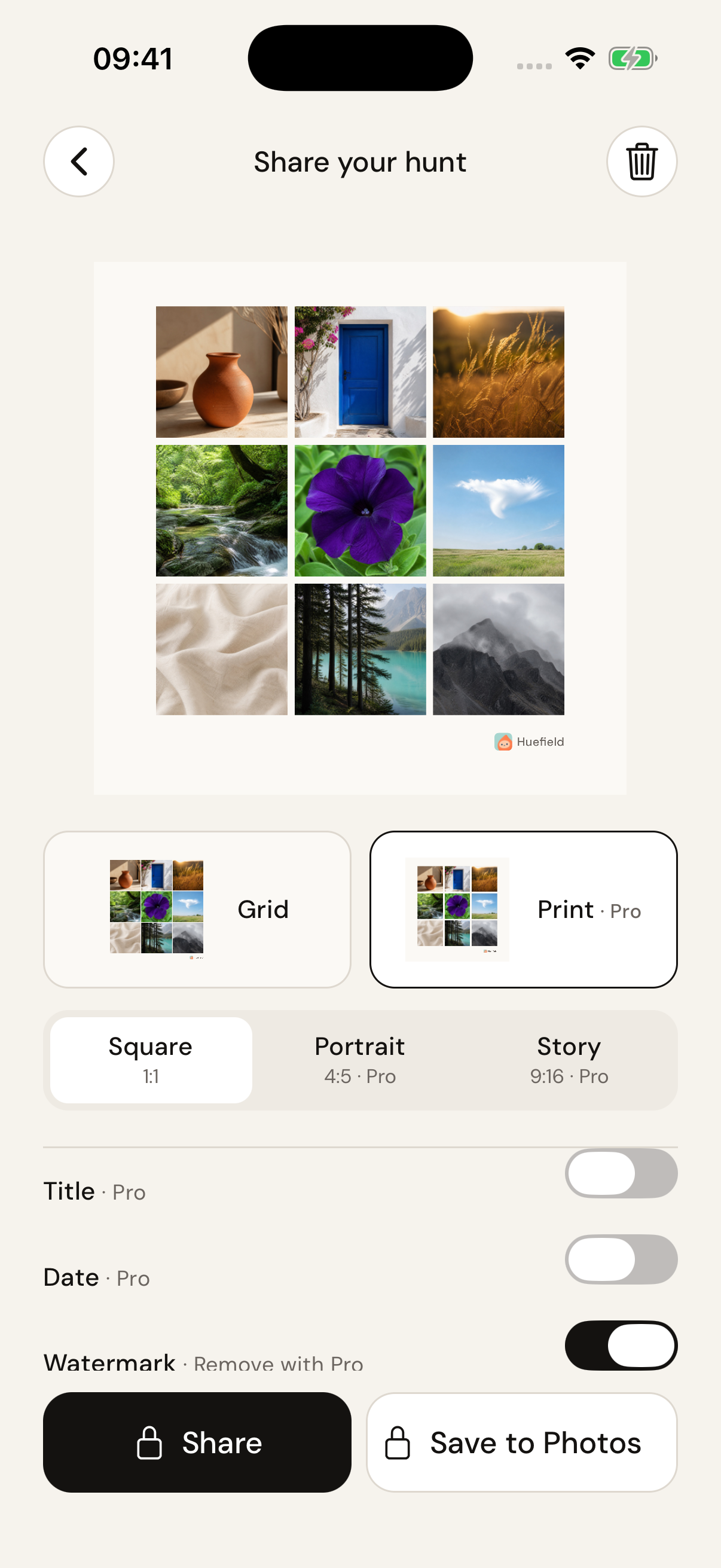 Huefield's export preview, with layout and size controls